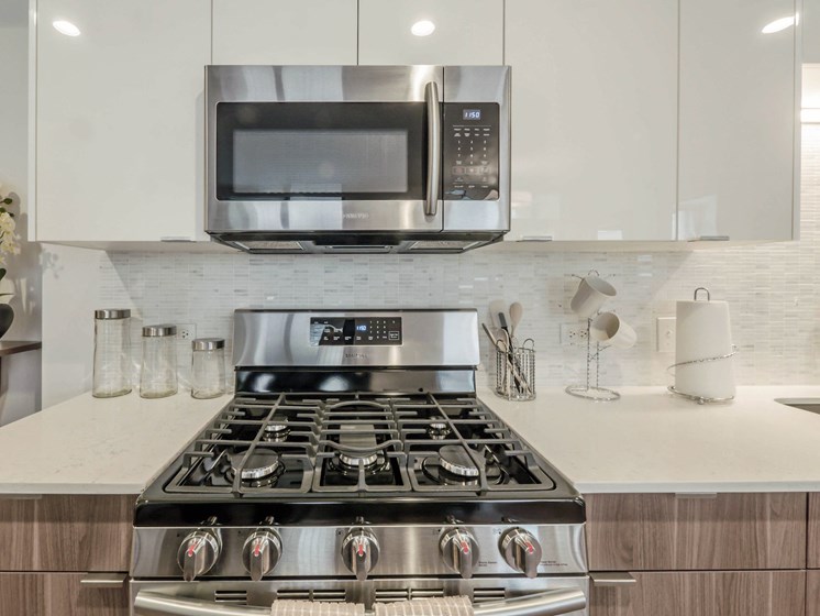 Modern appliances, gas range stove Apartments River North, Chicago, IL